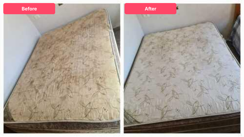 Apresentação sem título (2)